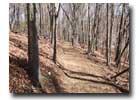 Himot Trail
