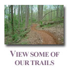 Projects of Trails