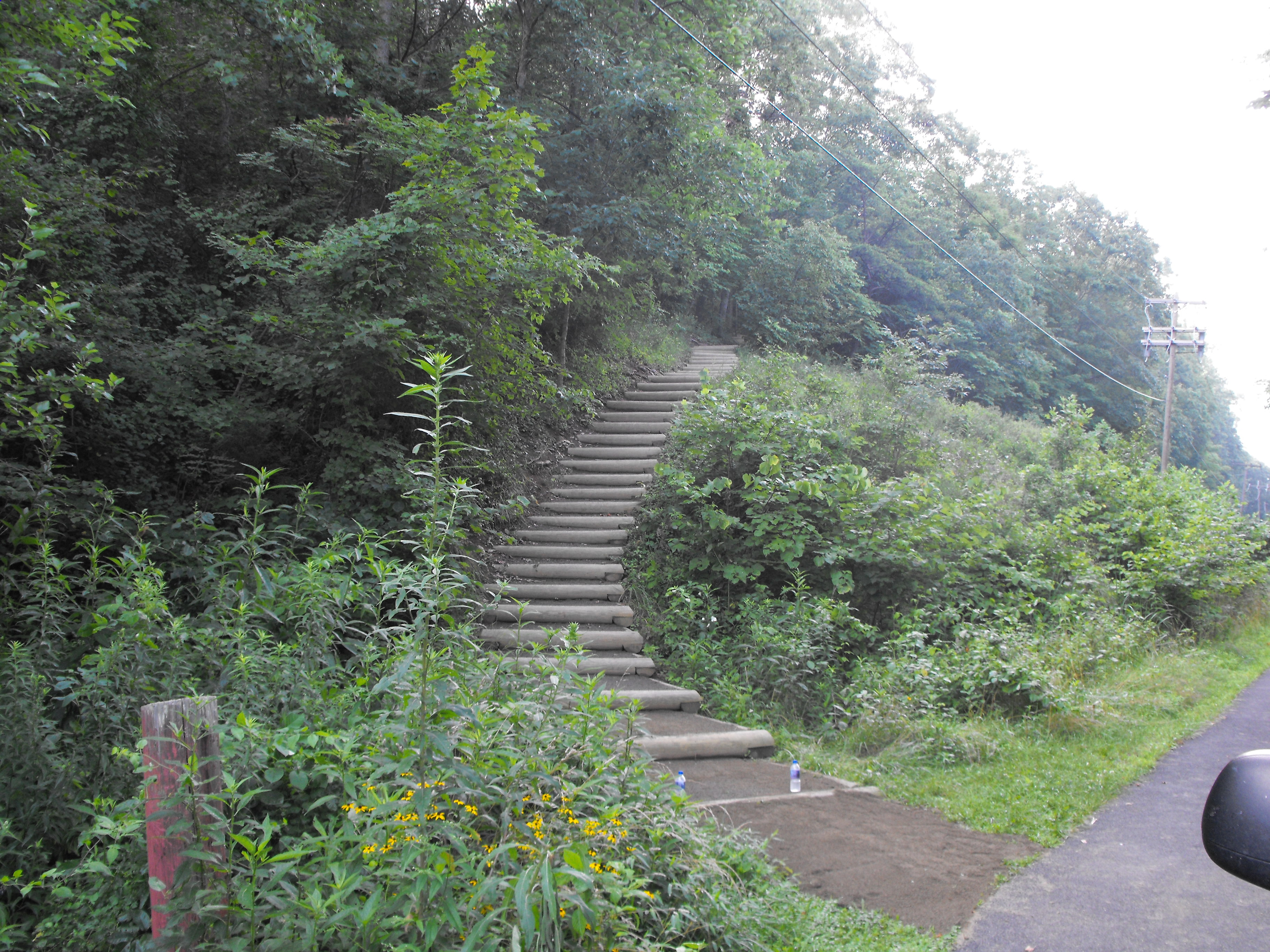 Wildwood Park Trail Steps