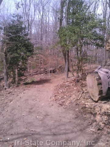Westmoreland State Park Trail