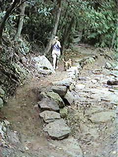 Cascades Recreation Area