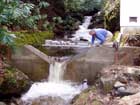 Finished Working Wier