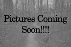 Pictures Coming Soon!!