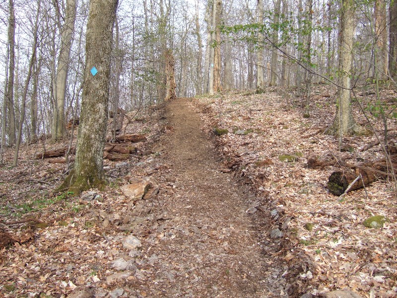 Fork Mountain Trail Reconstruction