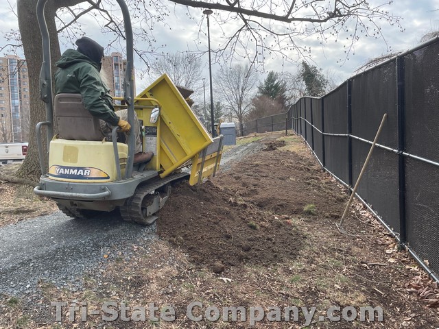Yanmar Dumper