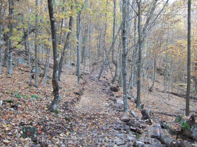 Himot Property Trails