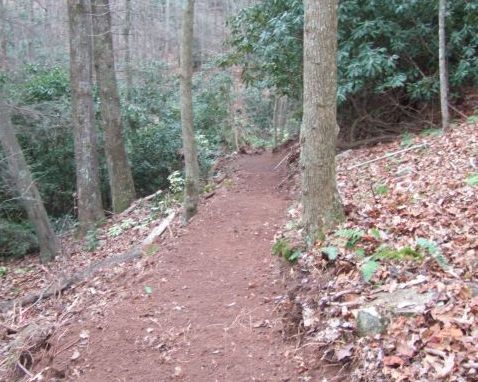 Potts Valley Rail Trail