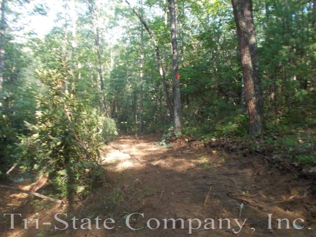 Hoof and Hill Trail