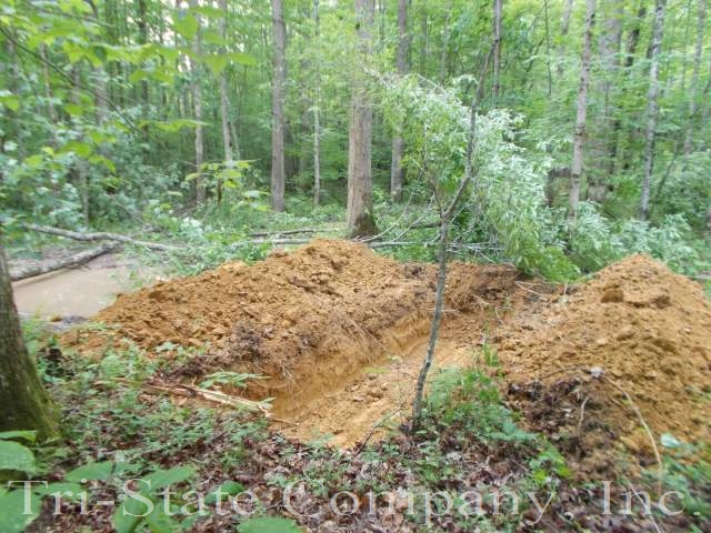 Poor Valley Restoration