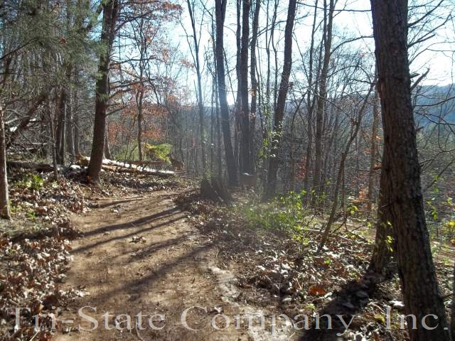 Beech Fork Hiking Trails