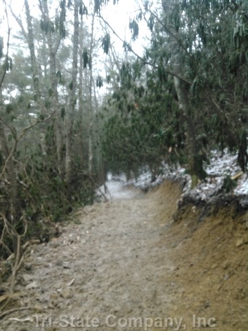 Allegheny Trail Relocation